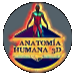 Anatom�a Humana 3D � UACH