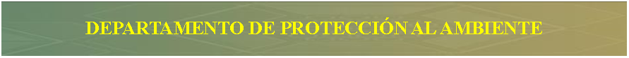 Cuadro de texto: DEPARTAMENTO DE PROTECCI�N AL AMBIENTE