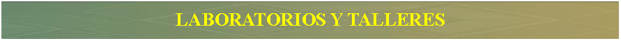 Cuadro de texto: LABORATORIOS Y TALLERES