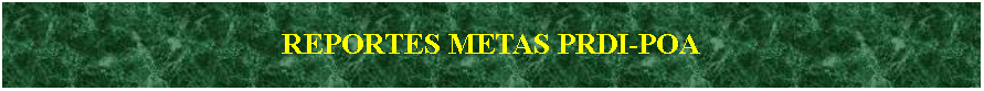 Cuadro de texto: REPORTES METAS PRDI-POA